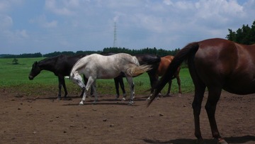 P1150047