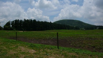 P1150066