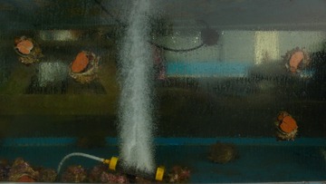 P1150471