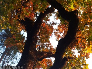 20121106_160700