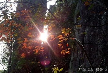 20121127_155032