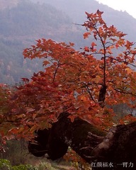 20121129_153924