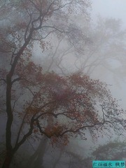 20121211_092851