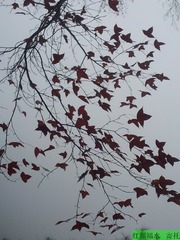20121211_093312