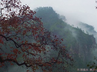 20121211_142453