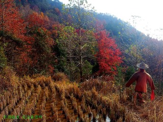 20121214_132300