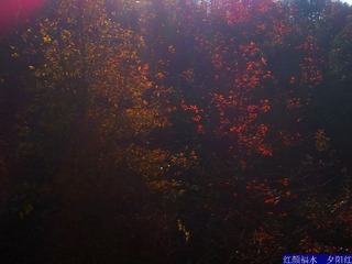 20121219_092019