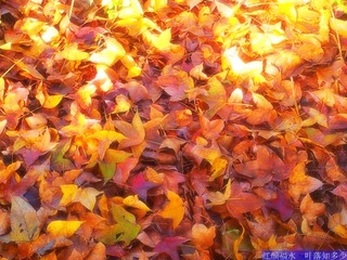 20121219_092203
