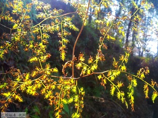 20121219_100004
