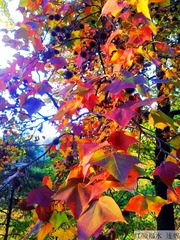20131128_162743