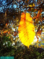 20131129_160328