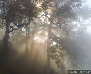 20131203_084111