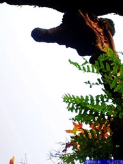 20131203_091419