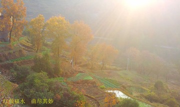 20131219_074448