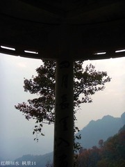 DSC07244 - 