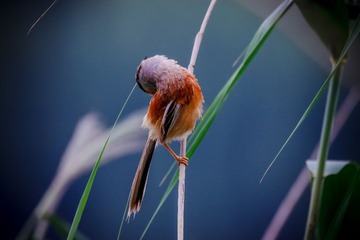 _MG_8847-5