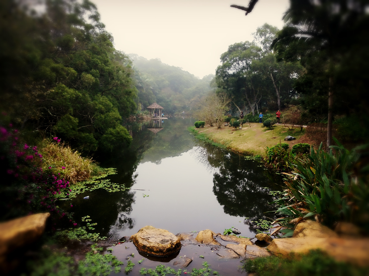 厦大情人谷风光