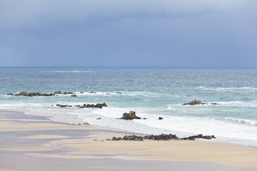 P8130434