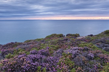 P8130447