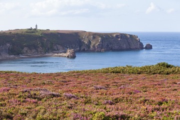 P8130454