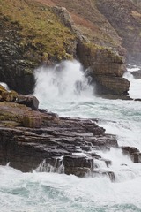 P8150547
