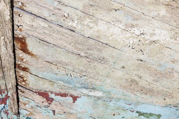 P8150550