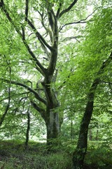 P8150553