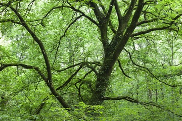 P8150565