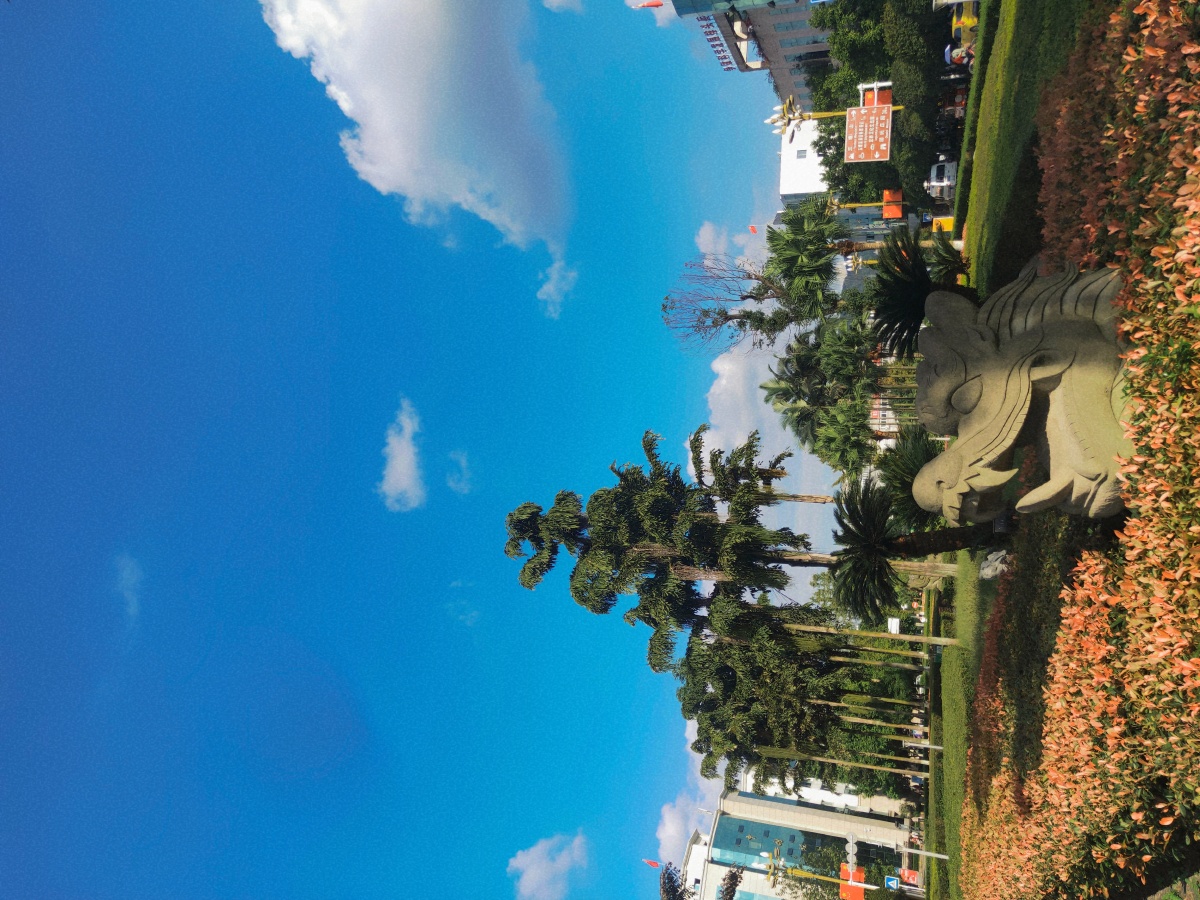 国家级卫生县城泸县花园干道风景美丽如画