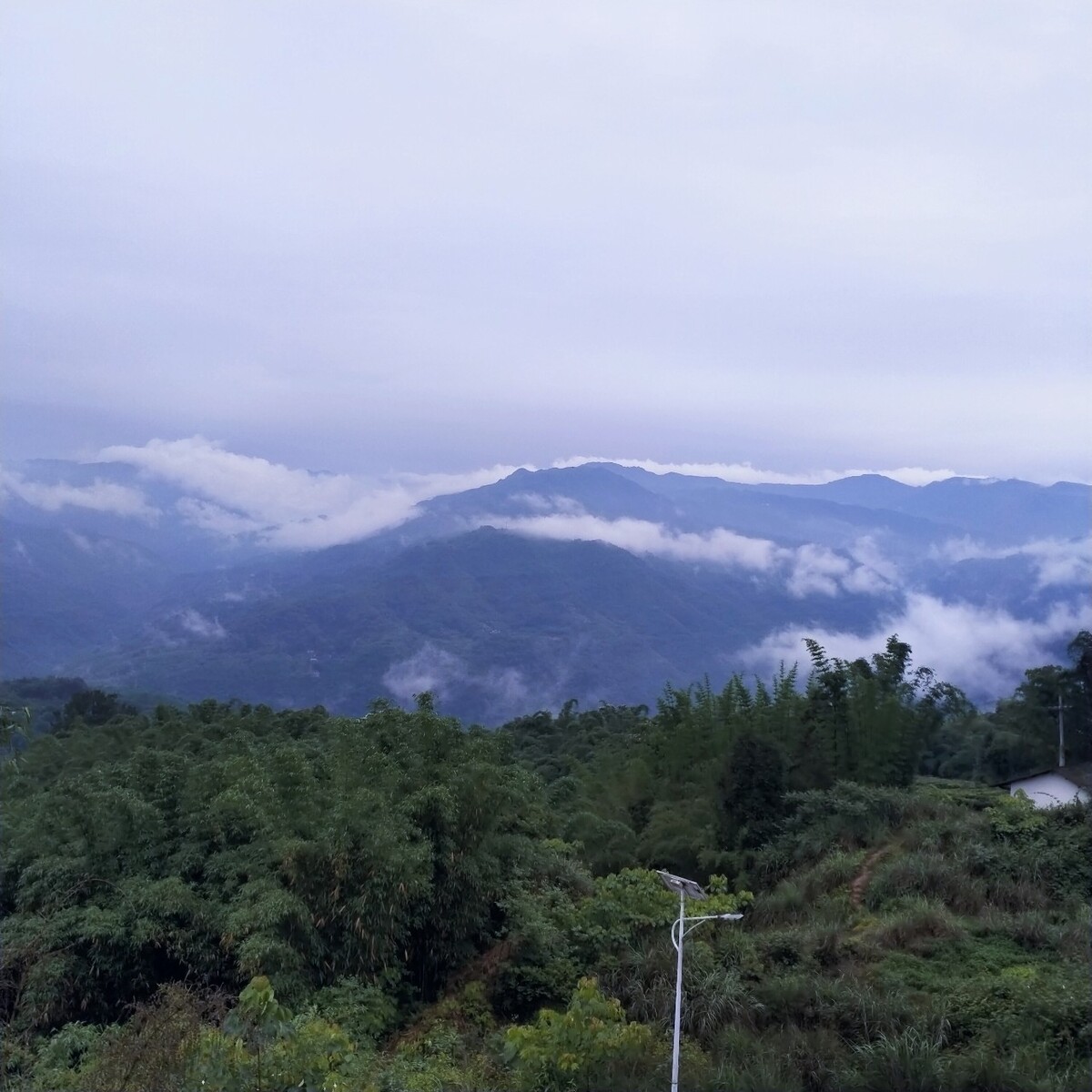 贵州望云峰风景区图片