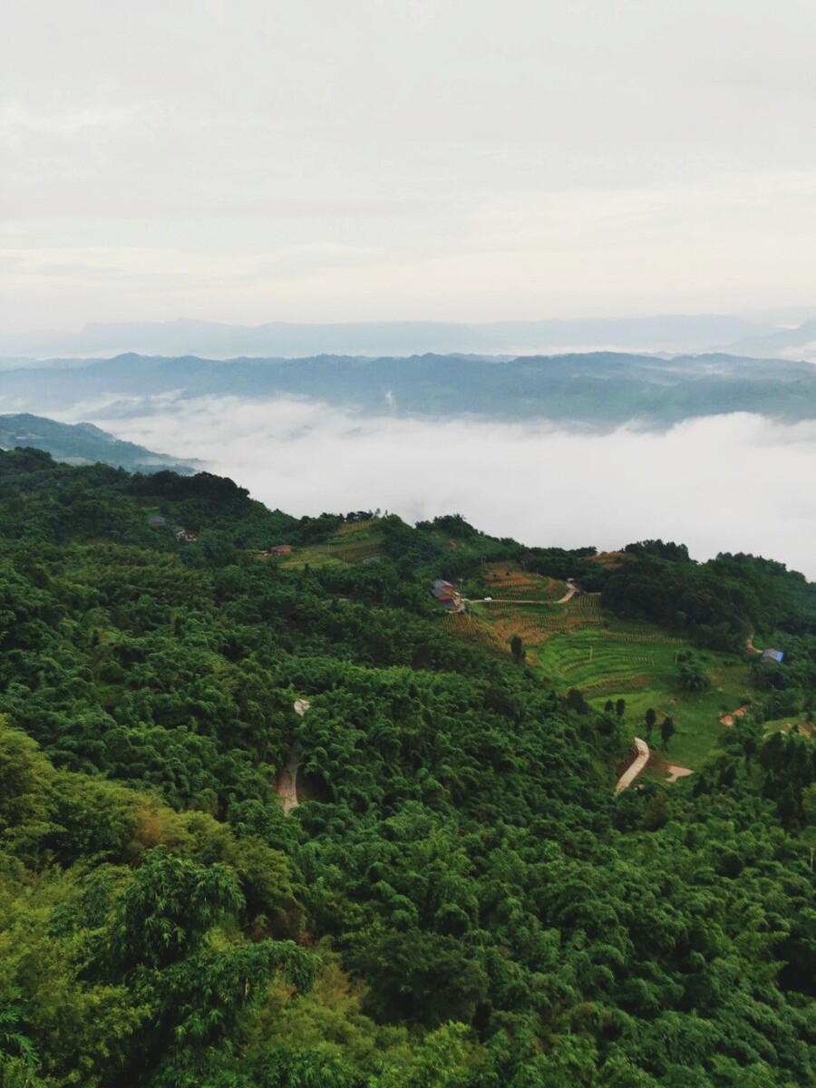 贵州望云峰风景区图片