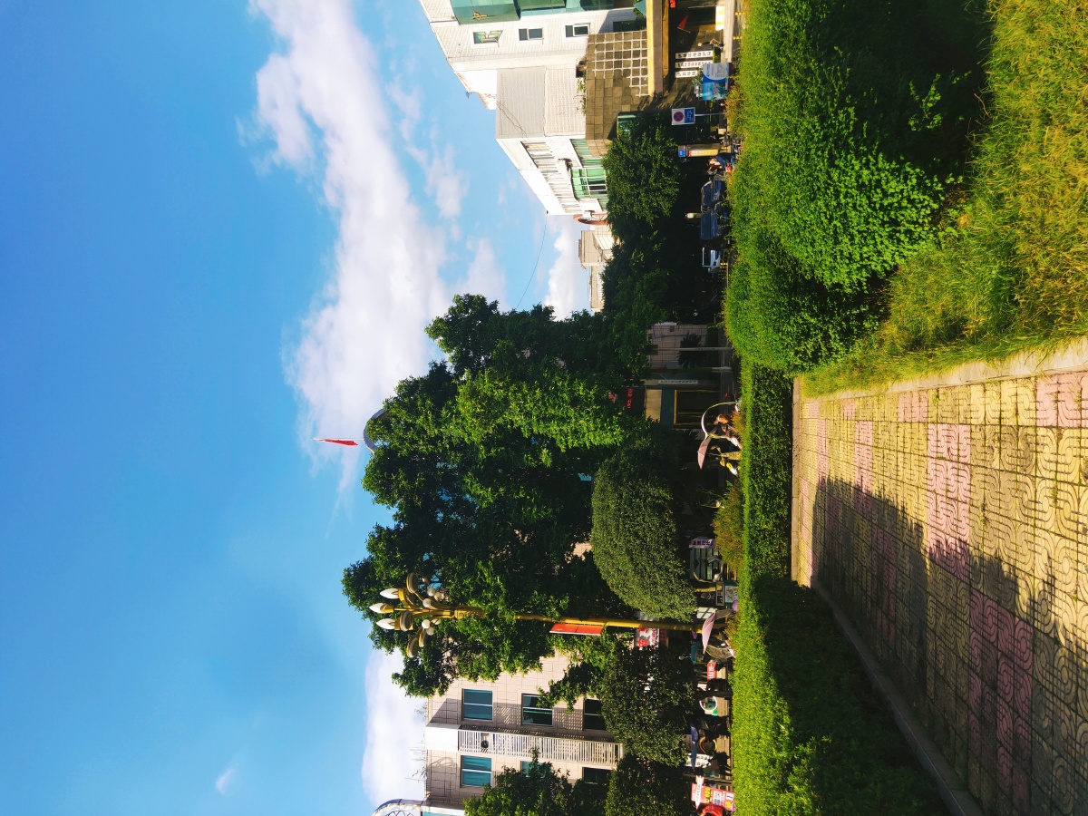 国家级卫生县城泸县花园干道风景美丽如画