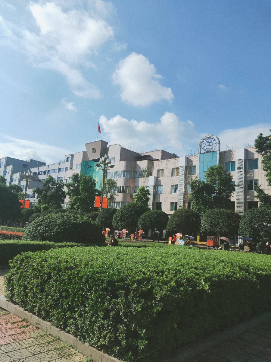 国家级卫生县城泸县花园干道风景美丽如画