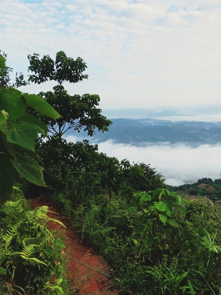 贵州赤水望云峰云海与朝霞晚霞交相辉映构成了一幅美丽的画卷
