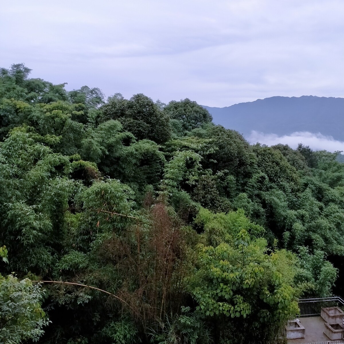 贵州望云峰风景区图片