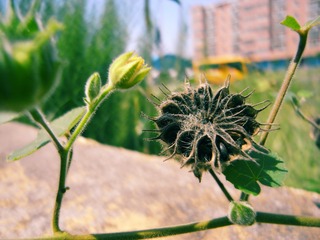 RIMG0585_调整大小