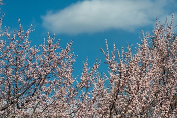 2F159FBA-27E4-4E17-B338-C71D2CA2AA54/L0/001