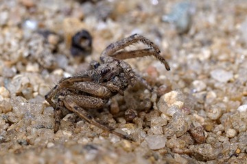 DSC07554_