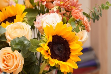 Optional("09905DF2-800C-421A-8EB0-35D63009EF66/L0/001")