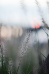 191112
