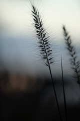 191109