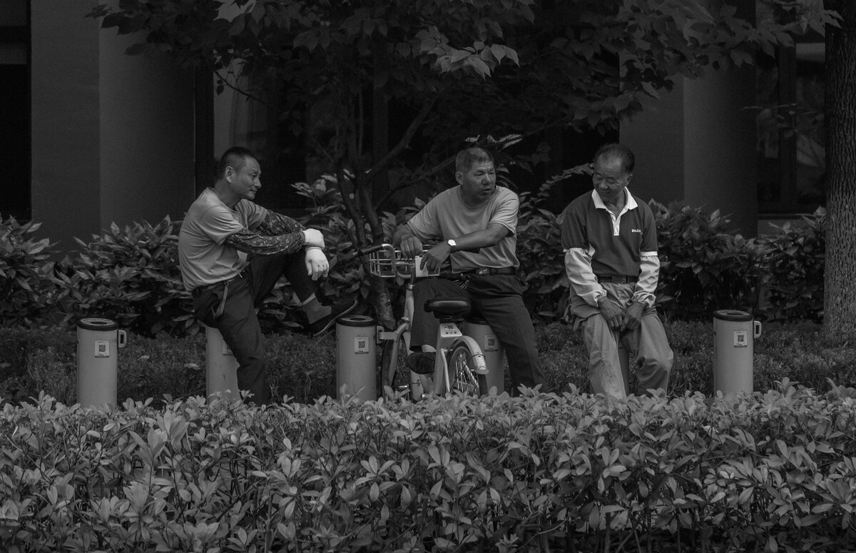 2021.08.13 苏州 新平街所摄。上班路上拍到三个装共享单车的大叔,互相聊天陪伴。