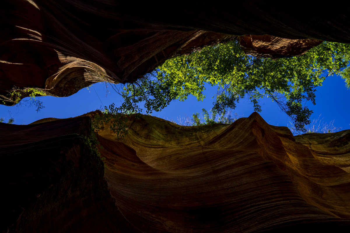 甘泉大峡谷之桦树沟
