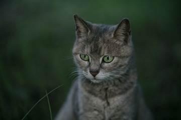 _DSC5050