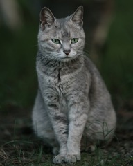 _DSC5064