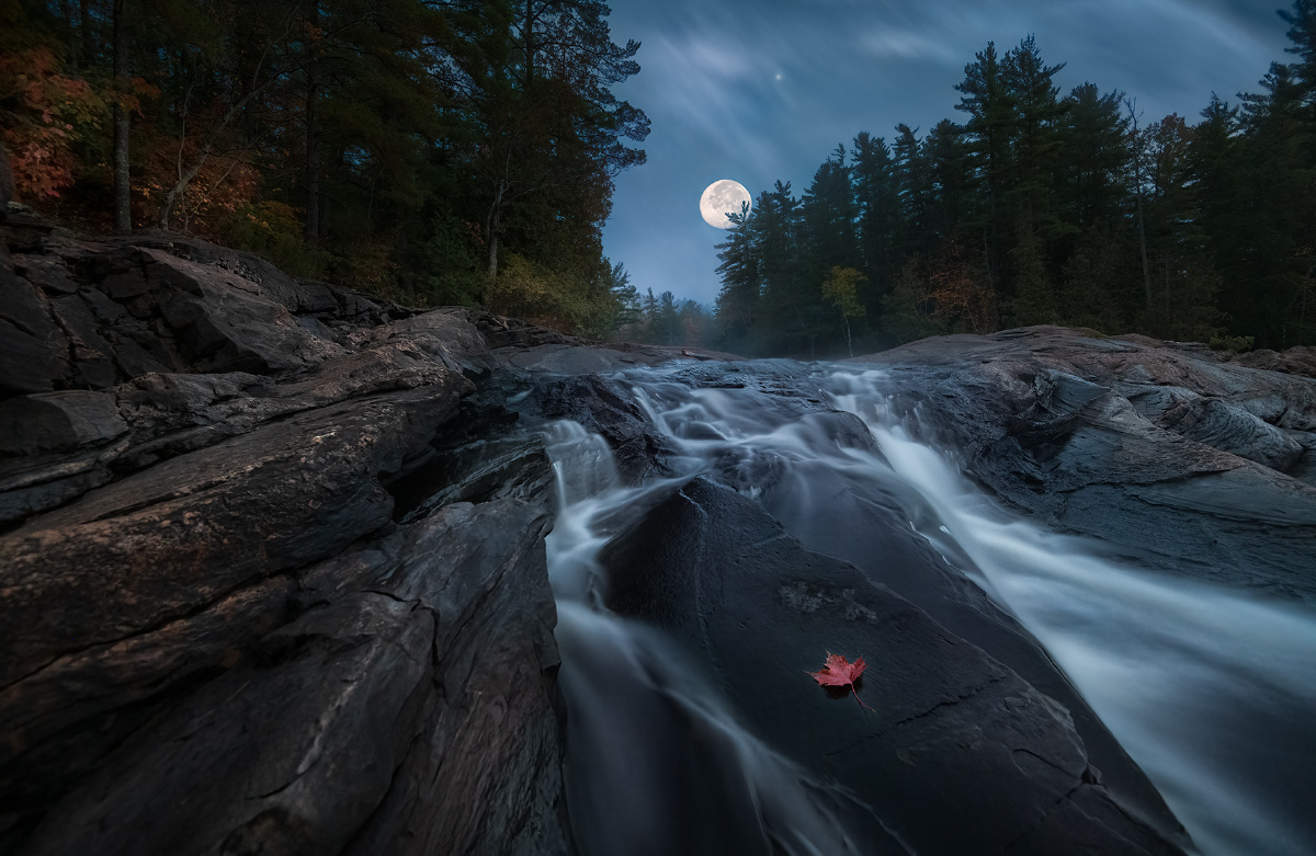 明月松间照清泉石上流