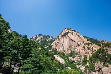 _DSC9949