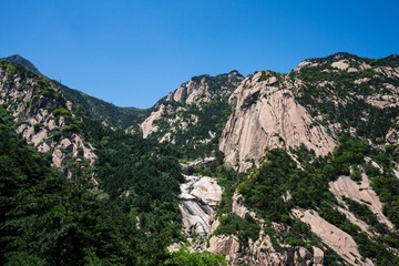 _DSC9910