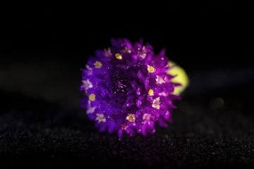 52207