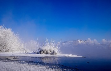 L_003334